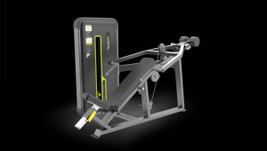 dhz gym machine 1