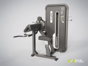 DHZ Fitness, Kraftgerät, Evost II Dual, BICEPS / TRICEPS, A3087BB-1