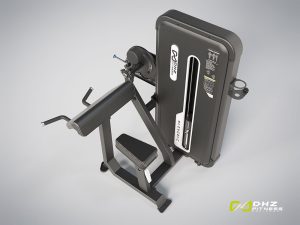 DHZ Fitness, Kraftgerät, Evost II Dual, BICEPS / TRICEPS, A3087BB-1