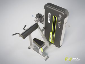 DHZ Fitness, Kraftgerät, Evost II Dual, BICEPS / TRICEPS, A3087SB-2