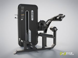 DHZ Fitness, Kraftgerät, Evost II Dual, ABDOMINAL / BACK EXTENSION, A3088BB-1