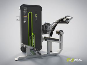 DHZ Fitness, Kraftgerät, Evost II Dual, ABDOMINAL / BACK EXTENSION, A3088SB-1