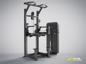 DHZ Fitness, Kraftgerät, Evost II Dual, DIP/CHIN ASSIST, E3009BB-1