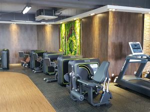 DHZ Fitness Produktion China Showroom