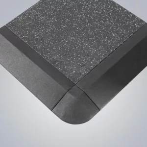 DHZ Fitness | Freeweights & Gym Supply, GB-P50R, Silencer Floor Rampe