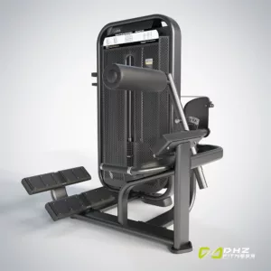 DHZ Fitness | Kraftgeräte, E7031, Back Extension
